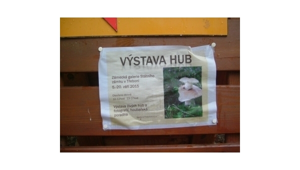 Výstava hub